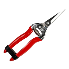 Scissors for Harvest - Planting and Treselling