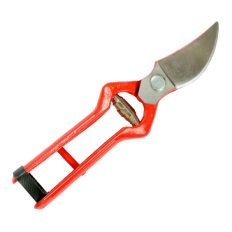 Scissors for Harvest - Planting and Treselling