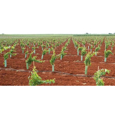 Tuyau d'Irrigation en PVC - Accueil - VINOMATOS