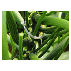 Abrazadera (Bridacin) - Accesorios Agrícolas Abrazadera (Bridacin) - Accesorios Agrícolas