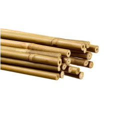 Tutores de Bambu - Tutores para Plantas - VINOMATOS