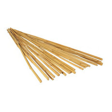 Bamboo Canes / Bamboo Stakes - Stakes - VINOMATOS