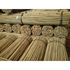 Tutores de Bambu - Tutores para Plantas - VINOMATOS