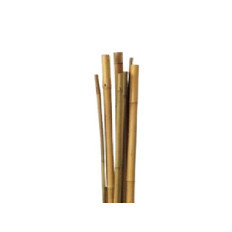 Tutores de Bambu - Tutores para Plantas - VINOMATOS