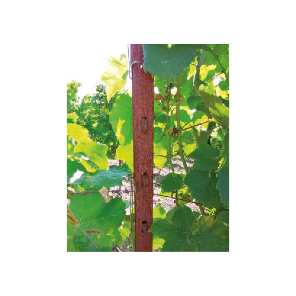 Poste Intermédio de Vinha Cor -Ten Lingueta - Postes