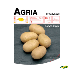 Graine de Pomme de Terre Agria (Semer) 25 Kg