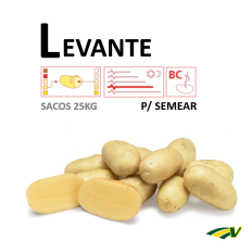 Semilla de Patata Levante (Siembra) 25 Kg