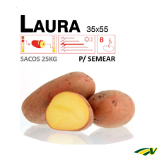 Semilla de Patata Laura (Siembra) 25 Kg Semilla de Patata Laura (Siembra) 25 Kg
