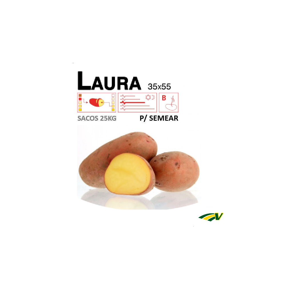 Semilla de Patata Laura (Siembra) 25 Kg Semilla de Patata Laura (Siembra) 25 Kg