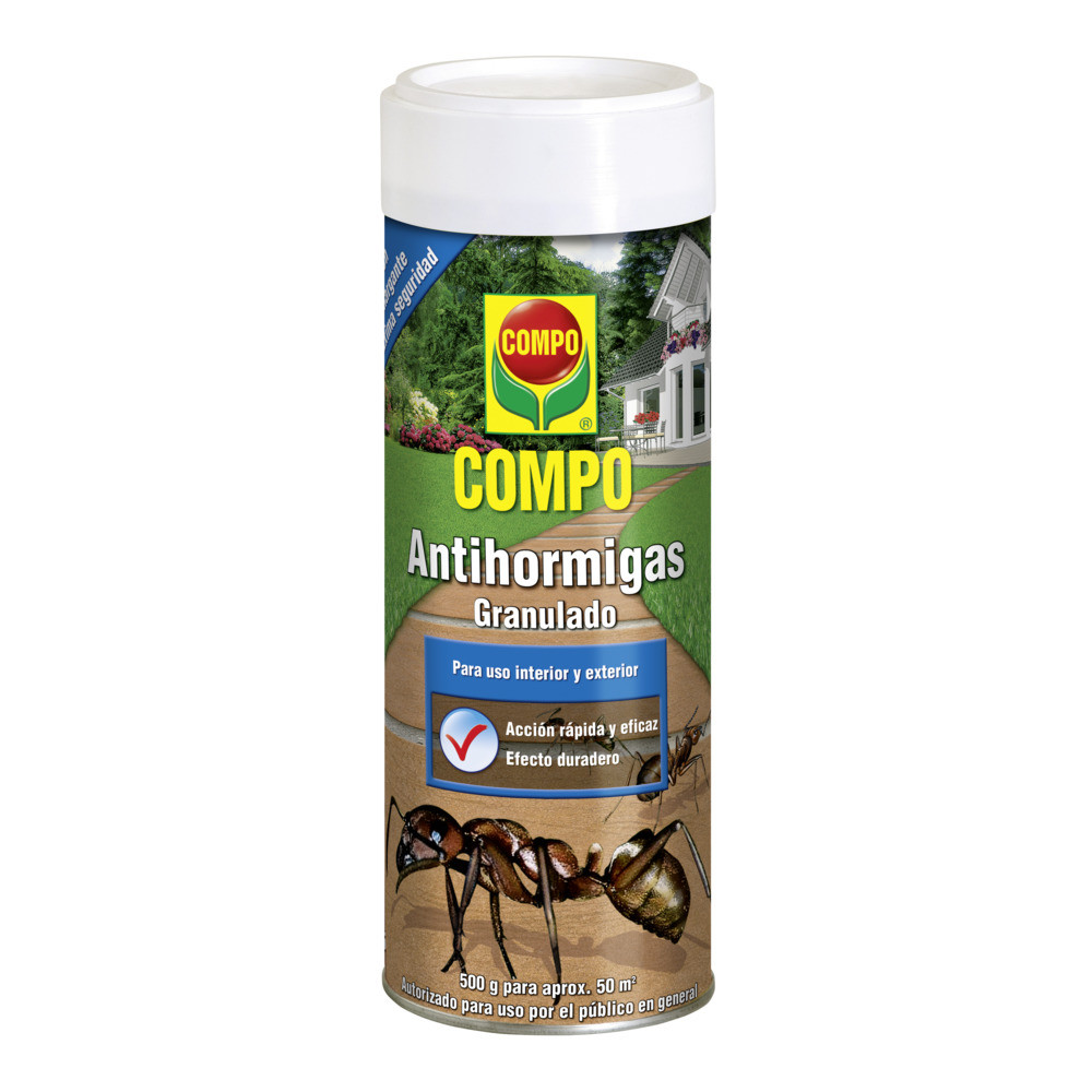 COMPO Fourmis COMPO Fourmis