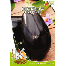 Beringela Black Beauty