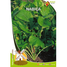 Navet