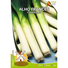 Alho Francês Carentan 3