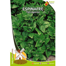 Espinacas Tetragonia