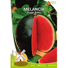 Melancia Sugar Baby