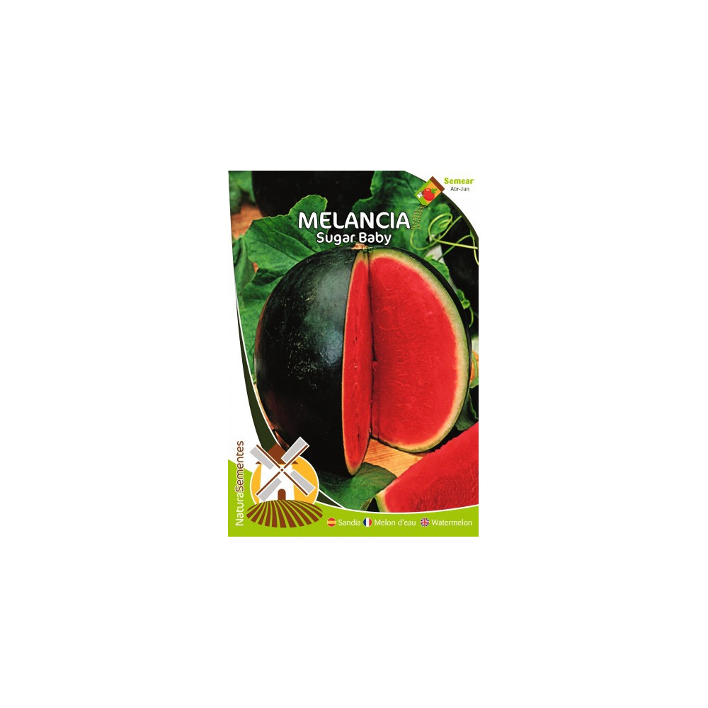 Watermelon Sugar Baby