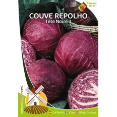 Cabbage Tête Noire 3