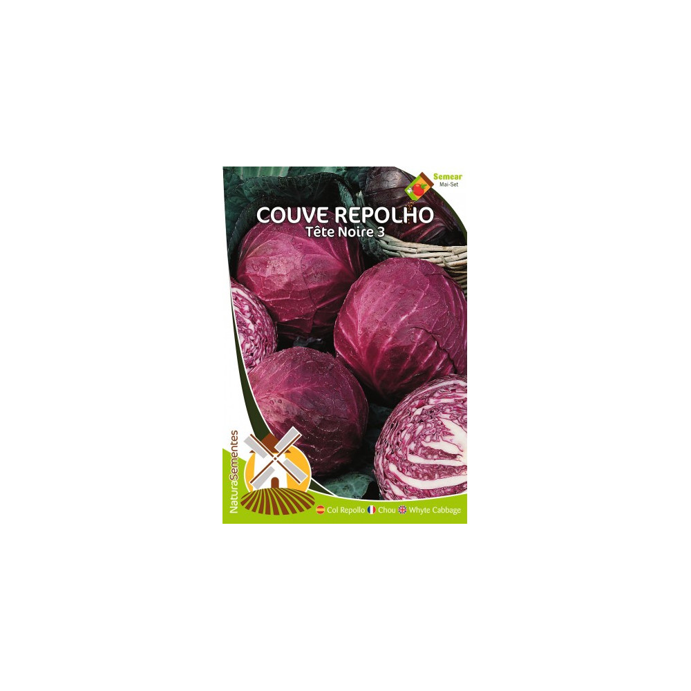 Couve Repolho Tête Noire 3