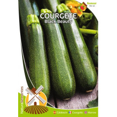 Calabacín Belleza Negra