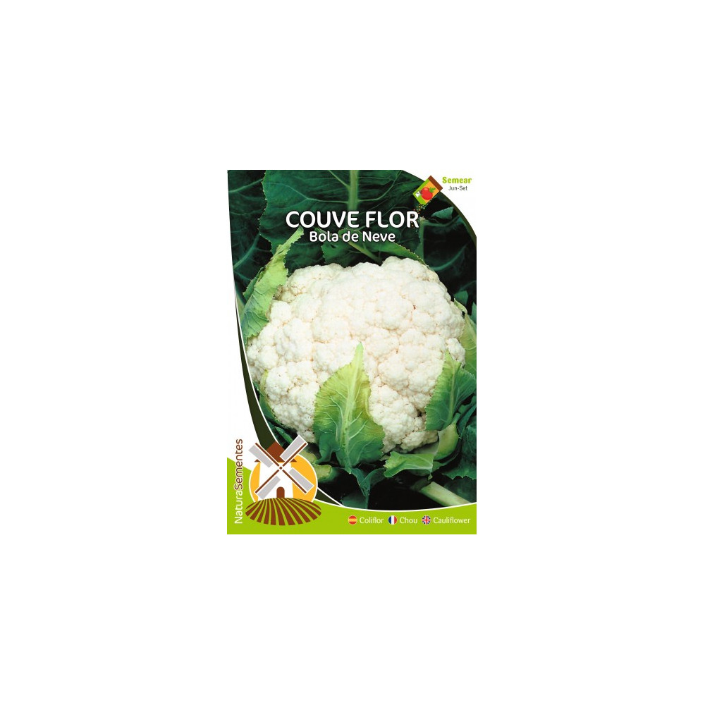 Chou-fleur boule de neige