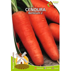 Carrot Berlicum 2