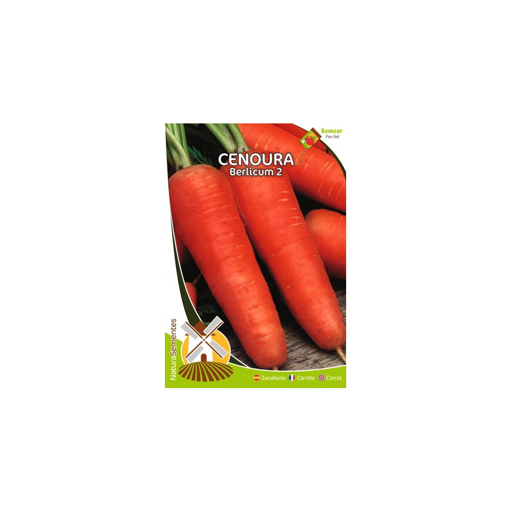 Cenoura Berlicum 2