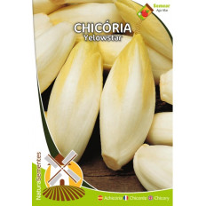 Chicória Yellowstar