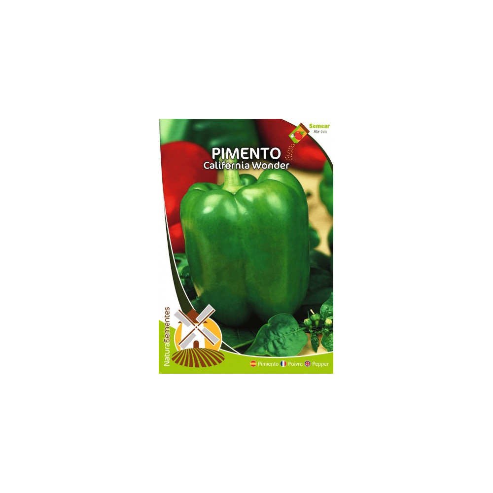 Pimento Califórnia Wonder