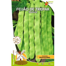 Feijão de Trepar Música