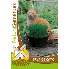 Cat grass