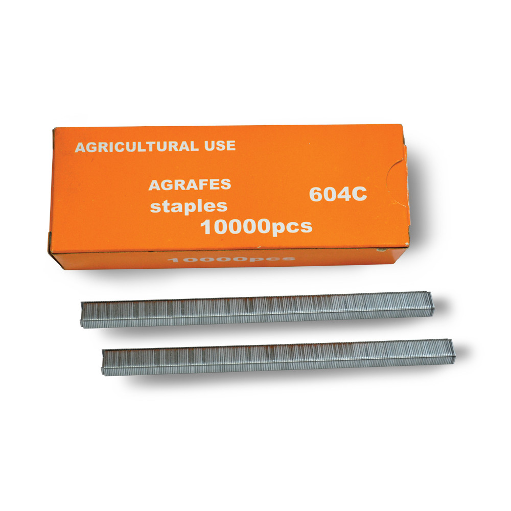 Boîte de 10 000 agrafes