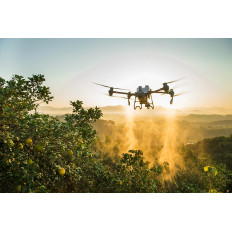 Drone DJI T25 Pulverizador Agrícola - Drones