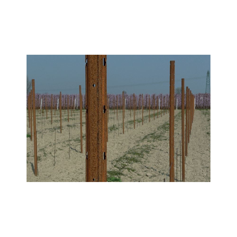 Piquets Intermédiaires de Vigne Cor – Ten Renforçé