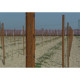 Intermediate Vineyard Post -Ten Reinforced